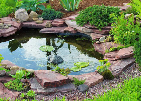 pond maintenance