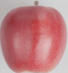 fruit-Apple-Northern-Spy