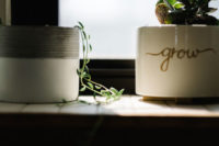 plants on a window sill have a calming effect