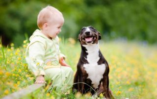 Baby & Happy Dog enjoying outdoor landscape