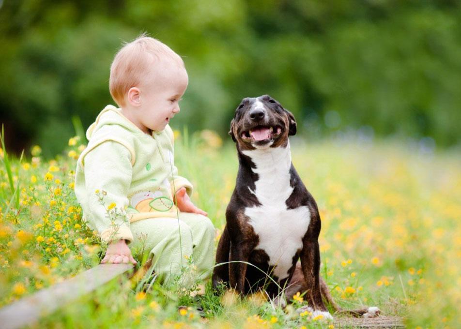 Baby & Happy Dog enjoying outdoor landscape