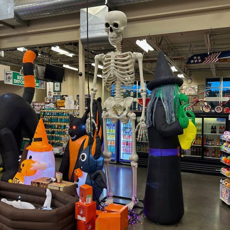 Giant standing skeleton and inflatable witch Halloween display inside Johnsons Home and Garden store